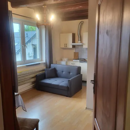 Guest house Anser Collis