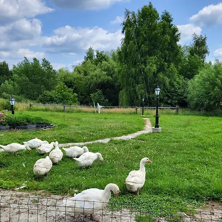 Anser Collis Guest house Wadowice