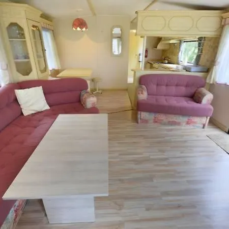 Anser Collis Guest house