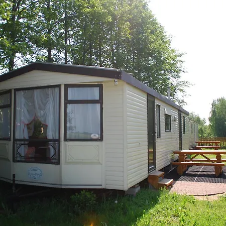 Anser Collis Wadowice