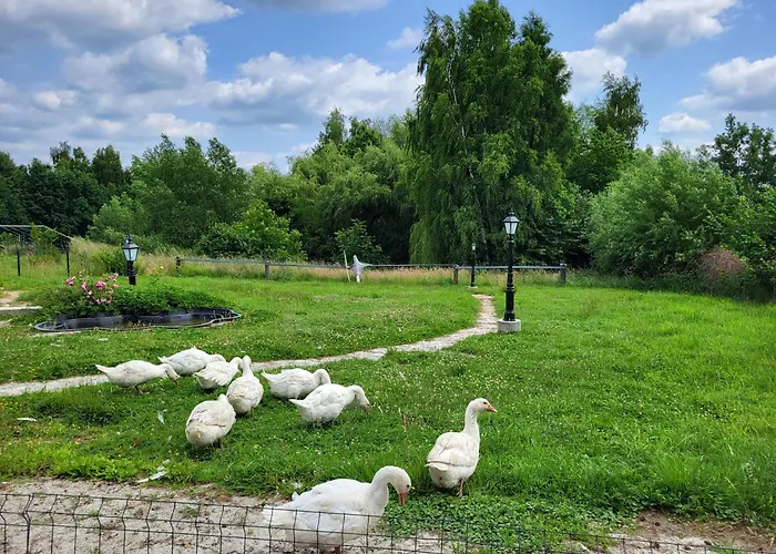 Anser Collis Gasthof Wadowice