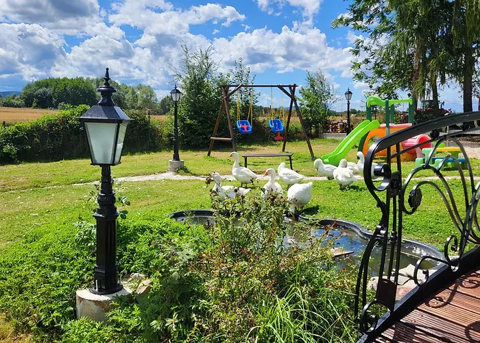 Anser Collis Gasthof