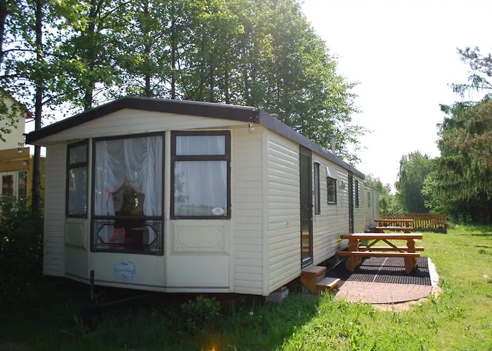 Anser Collis Wadowice